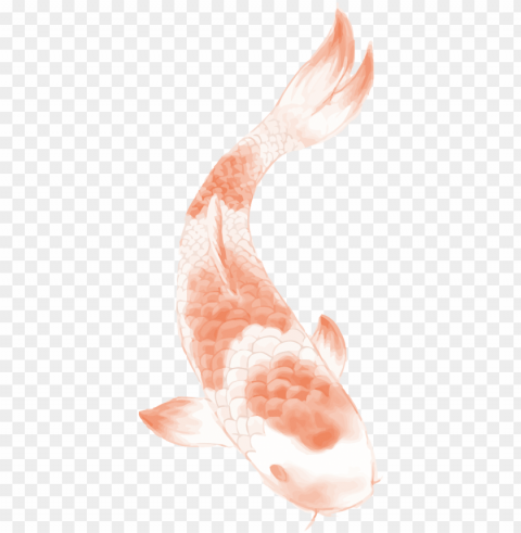 butterfly koi chinese tattoo carp wind clipart - lotus tattoo designs Transparent PNG Object Isolation