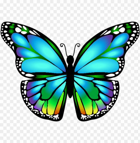 butterfly mariposa ms - butterfly clip art PNG transparent graphics comprehensive assortment