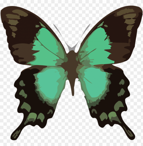 butterfly clipart download - barclay james harvest through the eyes of john lees Clear Background Isolated PNG Icon