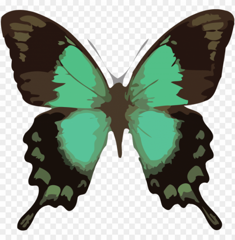 butterfly clipart download - barclay james harvest through the eyes of john lees Clear Background Isolated PNG Icon PNG transparent with Clear Background ID 0bac7e45