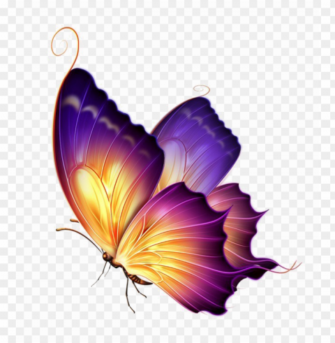 butterfly transparent image - purple yellow butterfly Free PNG