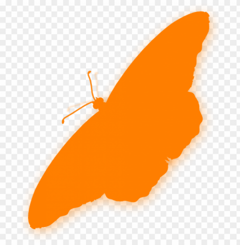 Butterfly Silhouette Orange ClearCut Background Isolated PNG Design