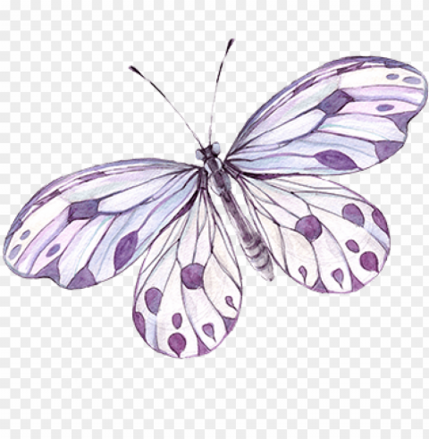 butterfly tattoo poetry lilac image with transparent - purple butterfly tattoo PNG with clear transparency