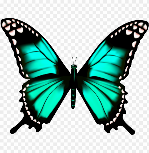 butterfly clip art imageu200b gallery - butterfly wings PNG transparent photos assortment