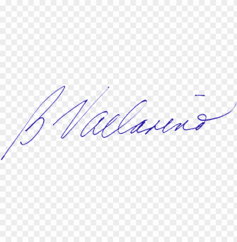 Bv Signature Blue - Signature Blue Isolated Character In Transparent PNG Format