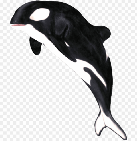 by clipartcotttage on deviantart - whale Isolated Graphic on HighQuality PNG