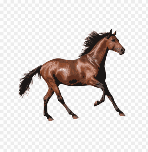 Caballos En High-quality Transparent PNG Images Comprehensive Set