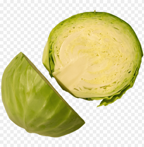 cabbage - brussels sprout PNG graphics with transparency