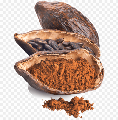 cacao PNG images with alpha channel diverse selection