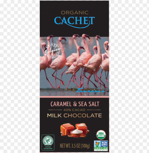 cachet tanzania single origin milk chocolate with caramel Isolated Illustration in Transparent PNG
