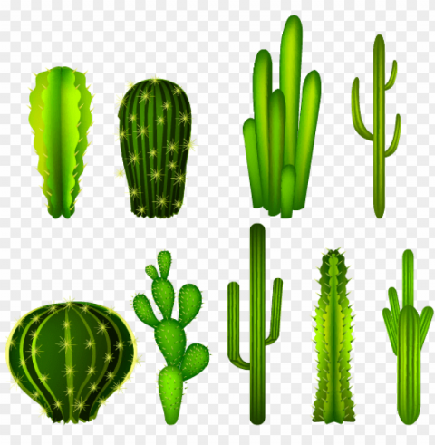 Cactaceae Clip Art - Cactus Graphic Transparent Background PNG Images With No Attribution