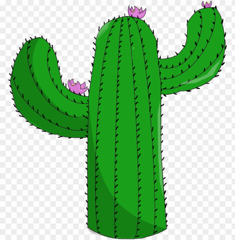 cactus - cactus PNG pictures with no background