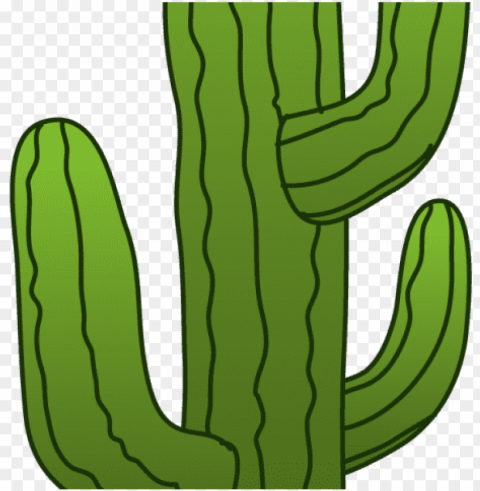 cactus clipart mexican - cactus clipart transparent background PNG Graphic with Isolated Clarity