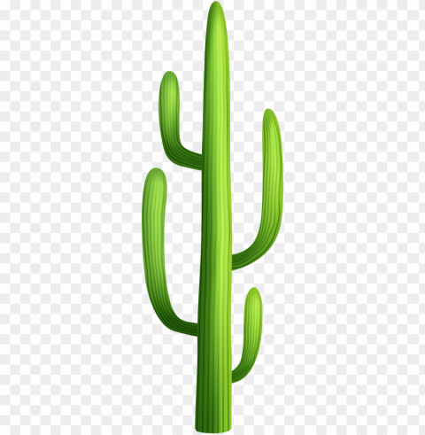 cactus clipart PNG with Clear Isolation on Transparent Background