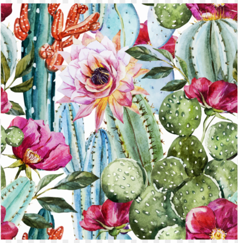 cactus flower - high resolution watercolor cactus PNG with clear transparency