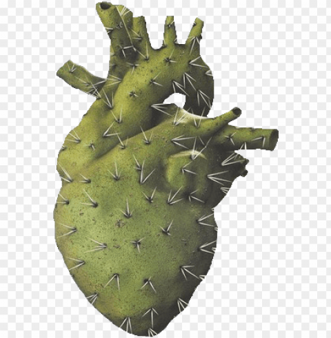  - cactus heart tattoo Isolated Object with Transparency in PNG