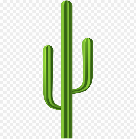 Green Cactus Illustration Isolated Element on HighQuality Transparent PNG