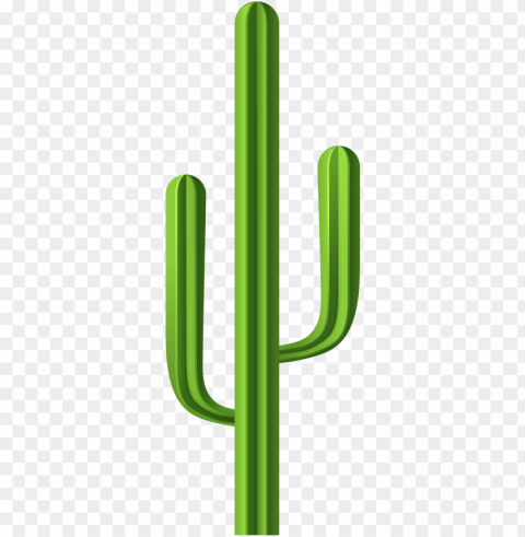 Green Cactus Illustration Isolated Element On HighQuality Transparent PNG