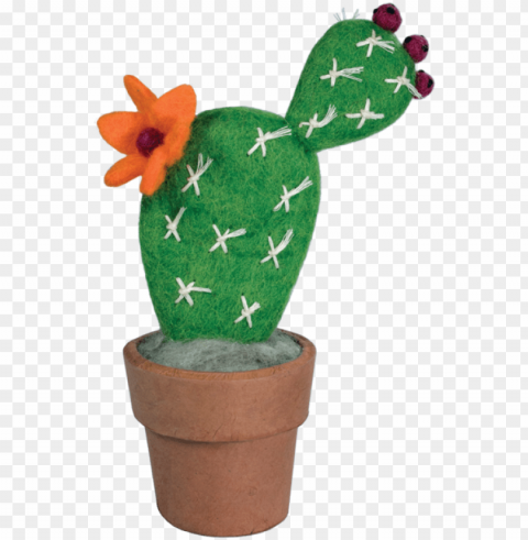 cactus small - prickly pear PNG transparent images for social media