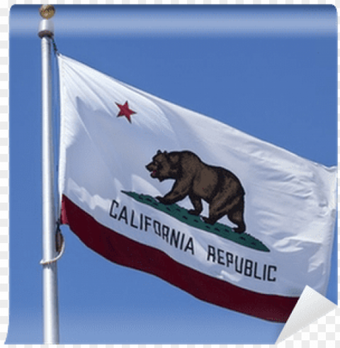 california flag is waving in the wind with motion blur - california state fla PNG with isolated background