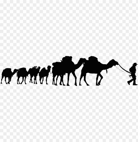 camel clipart walking - camel Transparent PNG graphics variety