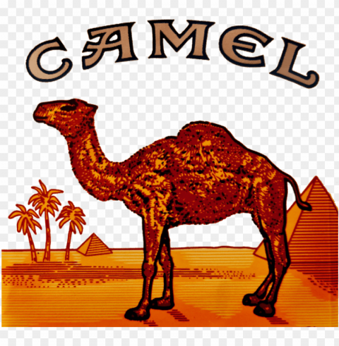 camel logo clipart camel cigarette logo - camel cigarettes Transparent PNG graphics complete archive