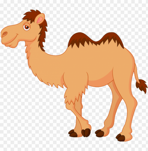 camel clipart - camel clipart PNG cutout