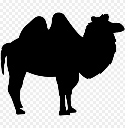 camel - silhouette - animals illustration - camel silhouette bactria PNG graphics with transparency