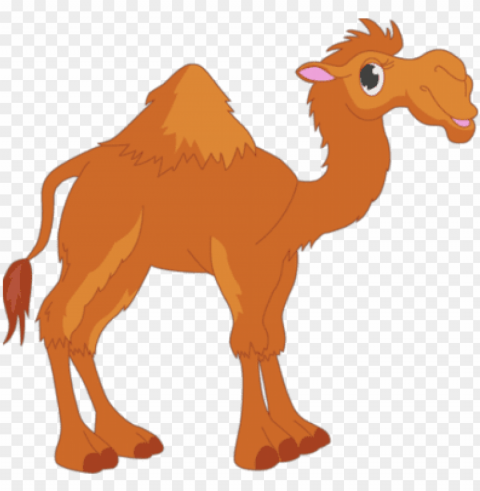 camel - unta cartoon Isolated Item on Clear Background PNG