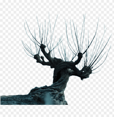 can make a prop that looks like it from the movie - harry potter whomping willow Isolated Artwork in HighResolution Transparent PNG