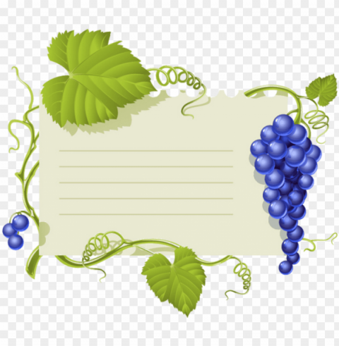 canning labels borders and frames bulletin boards - grapes leaves vector Isolated Design in Transparent Background PNG