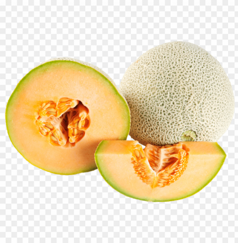 Cantaloupe PNG Files With Transparent Canvas Collection