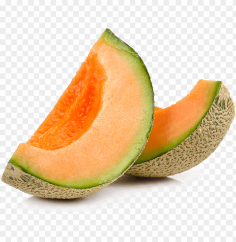 cantaloupe PNG files with transparent canvas extensive assortment