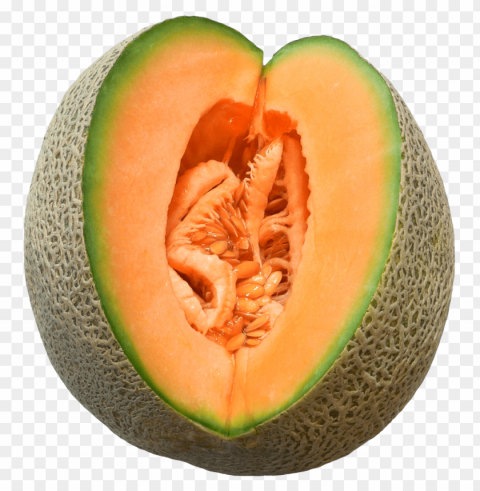 cantaloupe PNG files with transparent elements wide collection