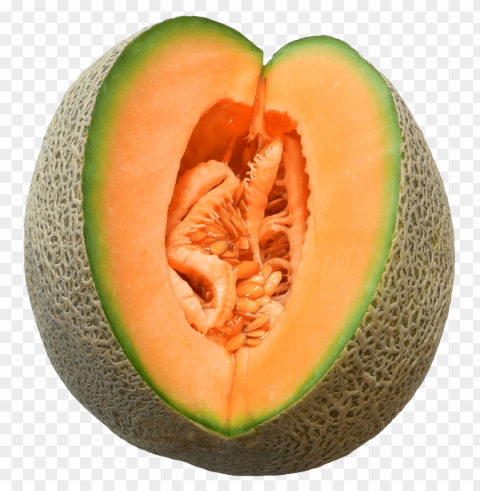 Cantaloupe PNG Files With Transparent Elements Wide Collection