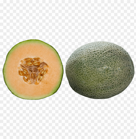 cantaloupe PNG for business use