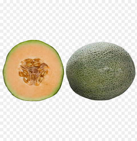 cantaloupe PNG for business use PNG transparent with Clear Background ID aad9451b