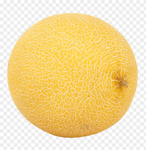 cantaloupe PNG for educational use PNG transparent with Clear Background ID ad03f325