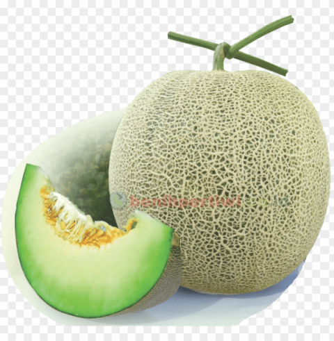 cantaloupe PNG for mobile apps PNG transparent with Clear Background ID 627cc514