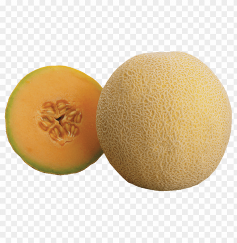 cantaloupe PNG for online use