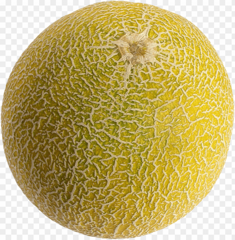 Cantaloupe PNG For Personal Use