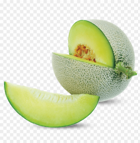 cantaloupe PNG for presentations