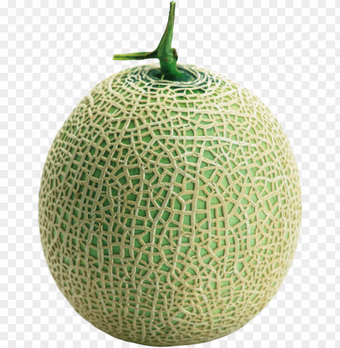 cantaloupe PNG for social media