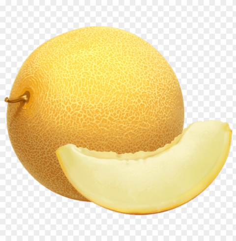 cantaloupe PNG for t-shirt designs