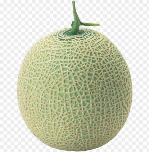 cantaloupe PNG for use PNG transparent with Clear Background ID 9775020c