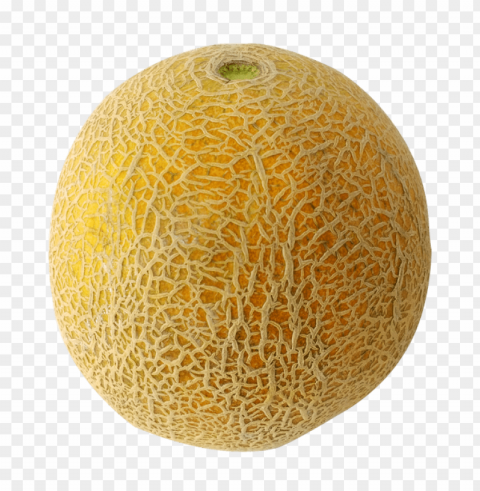 cantaloupe PNG for web design PNG transparent with Clear Background ID a74b1130