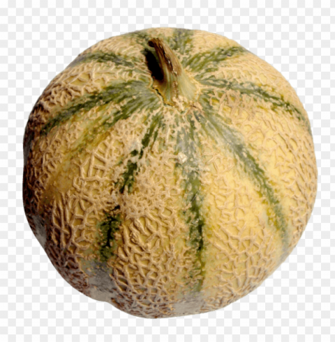 cantaloupe PNG format PNG transparent with Clear Background ID 103bf7c8