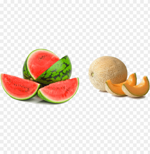 cantaloupe PNG format with no background