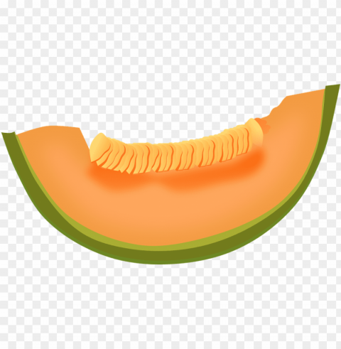 cantaloupe PNG free download PNG transparent with Clear Background ID f4c6124e