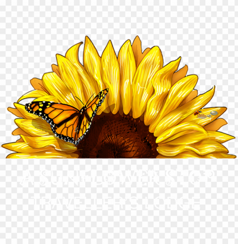 cape town backpackers hostel - half sunflower Transparent background PNG photos